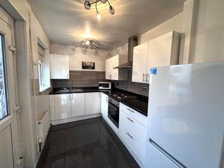 19 Lemberg Street, Belfast, BT12 6GH - Photo 4