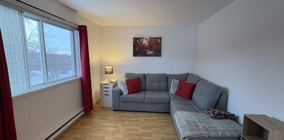 Appartement 3 ½ à louer Loretteville juillet 2026 - Photo 2