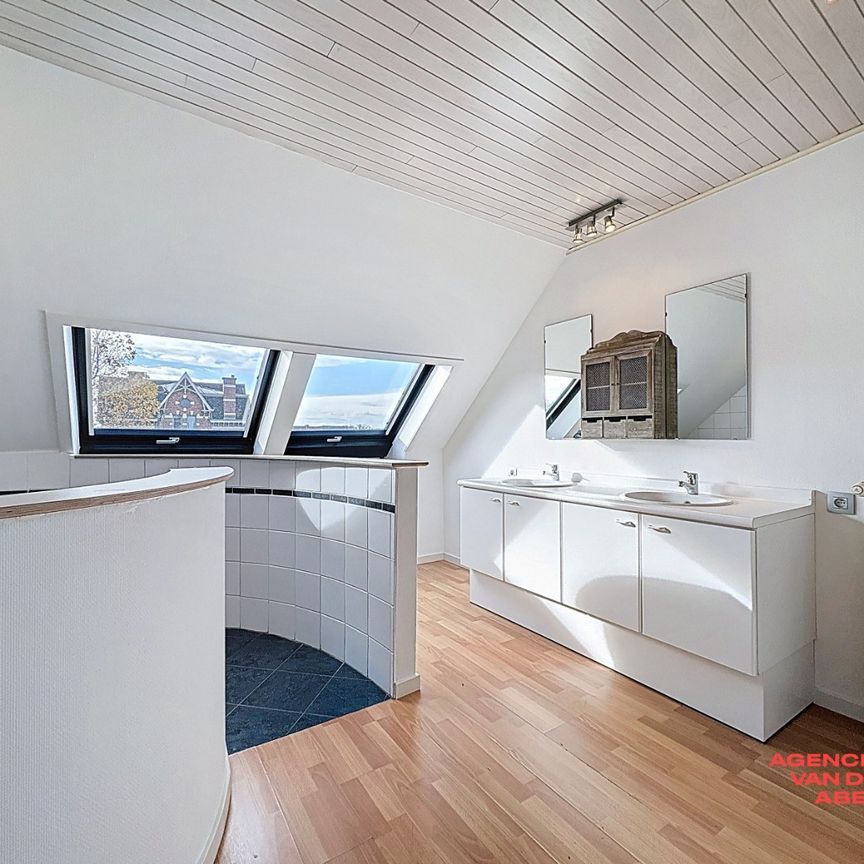 Ruim duplexappartement met prachtig terras - Photo 1