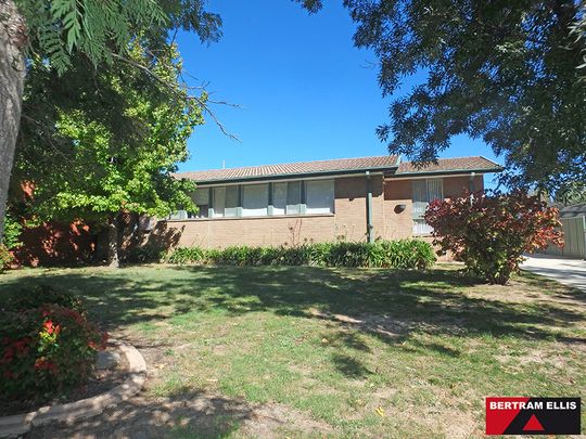 19A Eungella Street, Duffy ACT 2611 - House For Rent | Domain - Photo 1