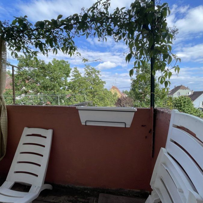 Appartement 2 pièces à Strasbourg - Photo 1