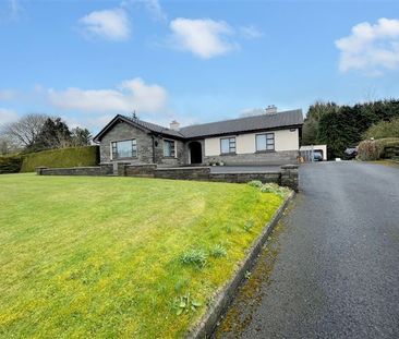 Haylands House, Haylands, Dublin Road,, Blessington, Wicklow, W91 FY59 - Photo 1