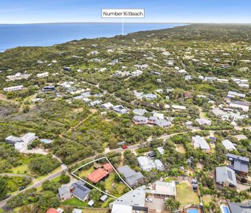 Private Oasis! - Photo 4