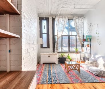 Condo for rent, Montréal (Le Plateau-Mont-Royal) - Photo 3