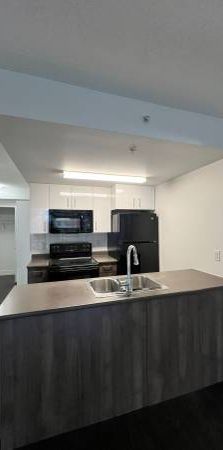 Hudson Mews Unit 310. 1 MONTH FREE RENT!!! - Photo 1