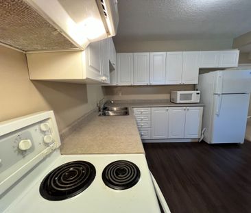 For Lease - 209 Dunsmore Lane Unit# Lower, Barrie, Ontario - Photo 4