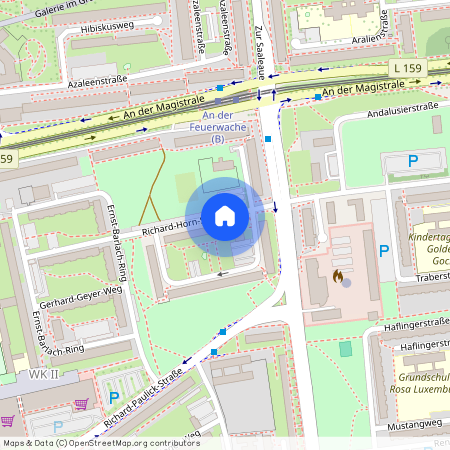 Richard-Horn-Straße 1, 06124, Halle