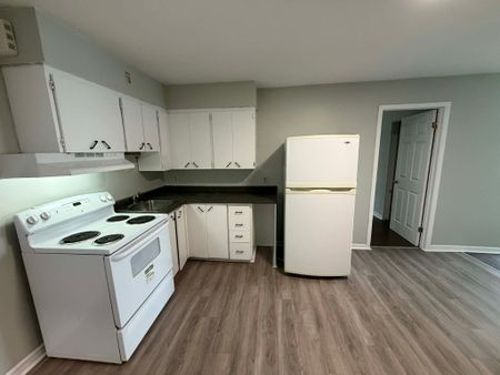For Lease - 1504 STITTSVILLE MAIN Street, Stittsville - Munster - Richmond, Ontario - Photo 5