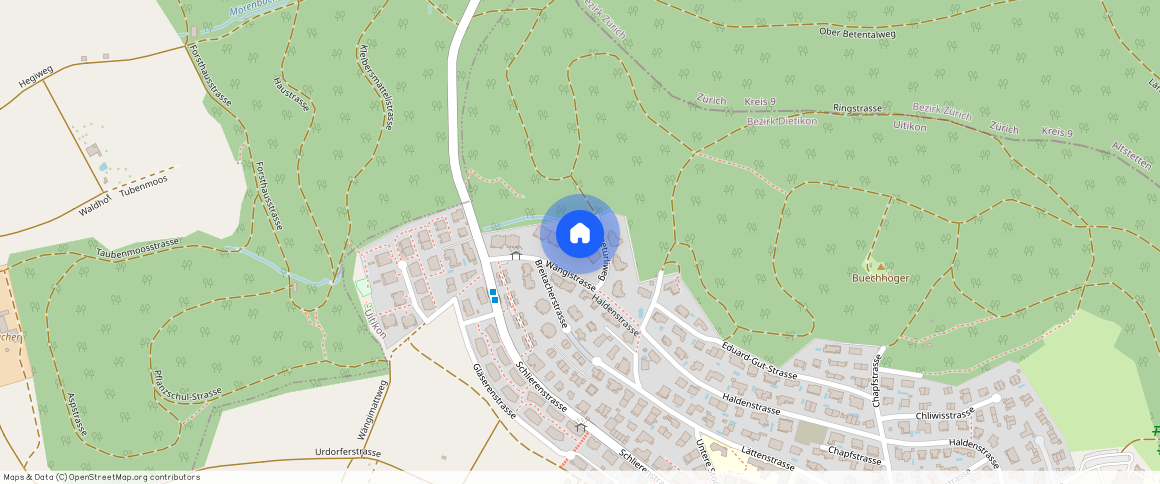 Wängistr, 11, 8142 Uitikon