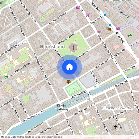 Nieuwe Boteringestraat, 9712pe Groningen