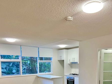 Freshly Renovated Studio Apartment - Photo 4
