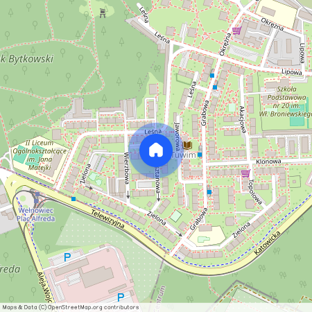 ul. Kasztanowa, Centrum, Siemianowice Śląskie, śląskie