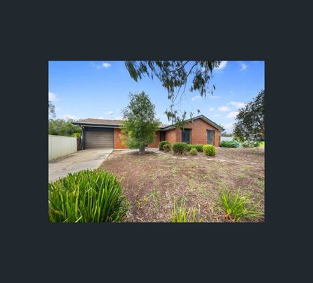 3 Buttercup Grove, Morphett Vale, SA 5162 - Photo 1