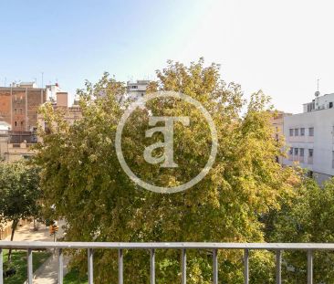 Piso de alquiler en Plaça D'herenni, Hostafrancs - Photo 4