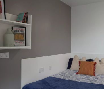 Silver Studio - Photo 5