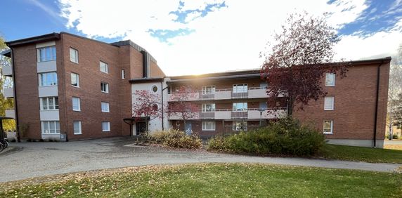 Familjegränd, Skellefteå - Foto 2