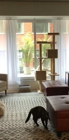 Superbe condo 4 1/2 - Photo 1