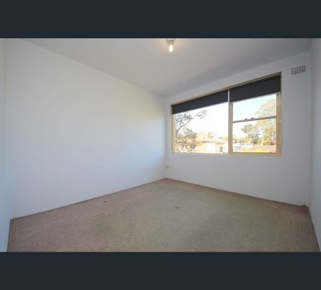 5/165 King Georges Road, Wiley Park, NSW 2195 - Photo 3