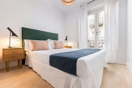 Calle de San Carlos, Madrid, Community of Madrid 28012 - Photo 2