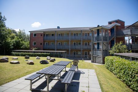 Blegkilde Allé og Danalien - Photo 4