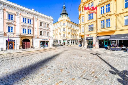 Pronájem bytu 2+1 77 m², Rooseveltova 77, Plzeň Vnitřní Město - Photo 4