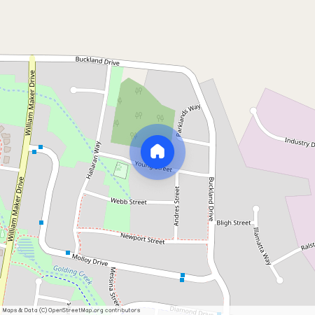 17 Young Street, NSW 2800, Orange