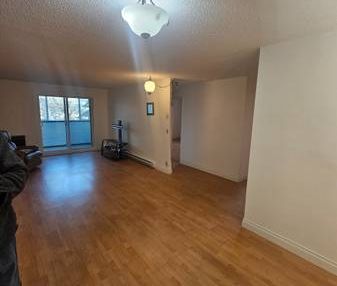 2 Bedroom Appartment - $ 2,200 - Photo 2