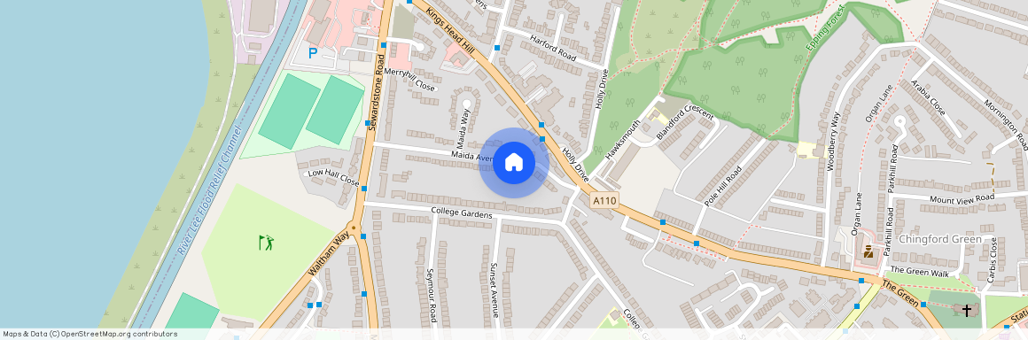 Maida Avenue, London, E4