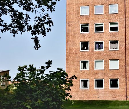 Kurirgatan 16 B - Photo 3