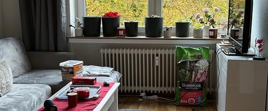 1,5 Zimmer Wohnung Delmenhorst Deichhorst - Foto 1