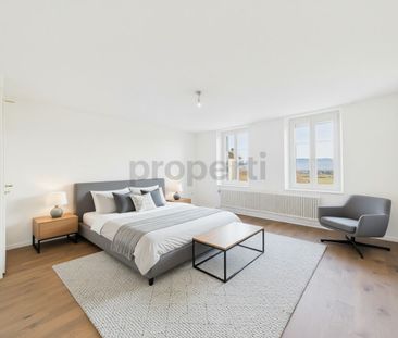 Magnifique Maison de Caractère rénovée au CSur du Village de Collex... - Foto 6