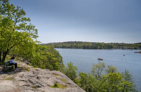 Alphyddevägen, Solna - Foto 2