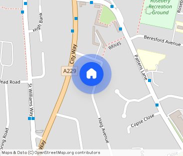 Haig Avenue,Rochester, - Photo 1