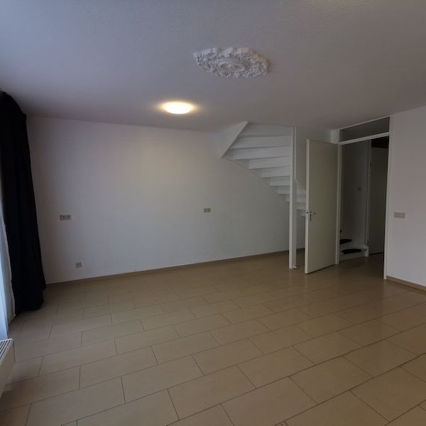 Kerstomaatplantsoen - Photo 1