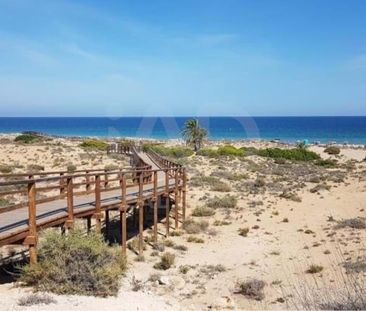 Alicante, Valencian Community 03130 - Photo 6