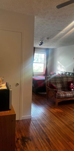 1 CH - 1 SDB - Sherbrooke - $825 /mo - Photo 1