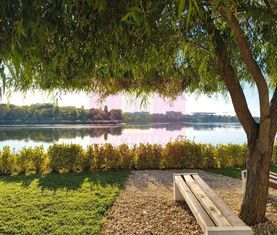 Garsonieră Lebăda Lake Residence - Fotografie 3