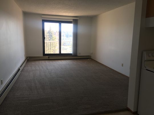 Totem II Apartments – 2 Bedroom - Photo 1