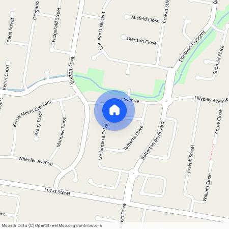 12 Koolamarra Drive, Gracemere, QLD 4702