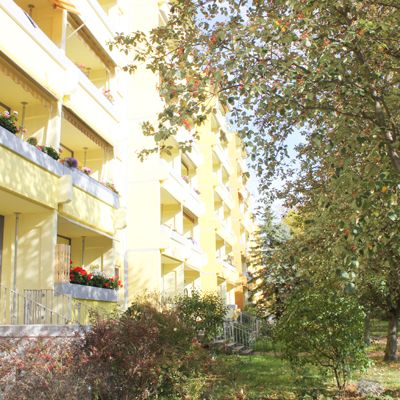 Blick ins Grüne - Foto 1