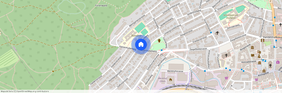 4600, Olten, Katzenhubelweg, 16