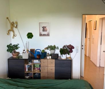 **GEFÖRDERT** 3-Zimmer Gartenwohnung in Top Lage mit Parkplatz! - Photo 5