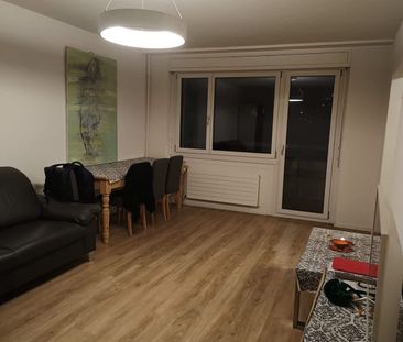 2.5 Zimmer, 55 m², 2. Stock - Photo 1