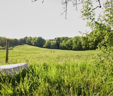 Moderne bofællesskab - for voksne uden hjemmeboende børn. - Photo 4