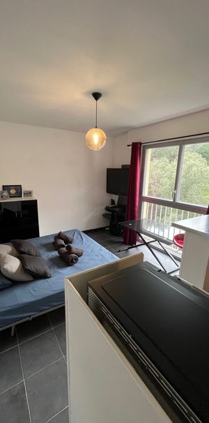 Location Appartement 1 pièce 20m² AJACCIO 20000 - Photo 1