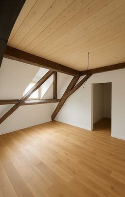 Moderne 2.5-Zimmer-Duplex in Stein AG mieten - Photo 1