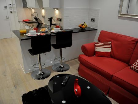 1 bedroom flat to rent - Photo 4