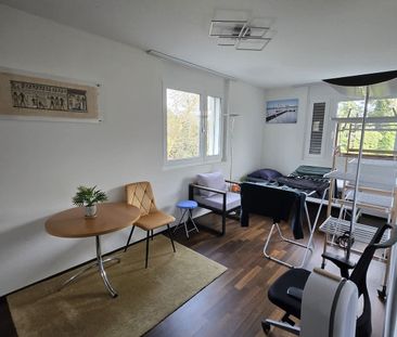 4.5 Zimmer, 114 m², 4. Stock - Photo 1