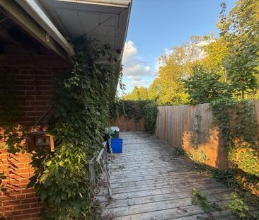 For Lease - 38 Burnhamthorpe Road Unit# Lower, Oakville, Ontario - Photo 5