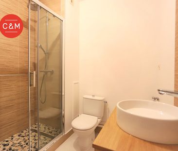 Location Appartement 1 pièce 41m² - Photo 3